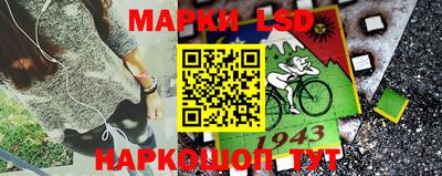 шишки Можайск