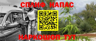 шишки Можайск